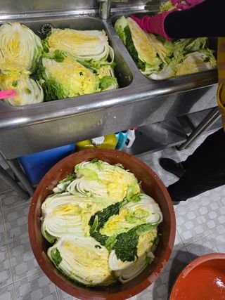 김영복 19146님의 기타작물 · 영농일지 작성글 사진