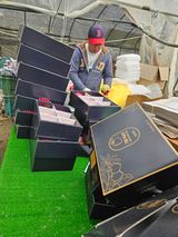 팜모닝 복숭아·영농일지 게시글 이미지