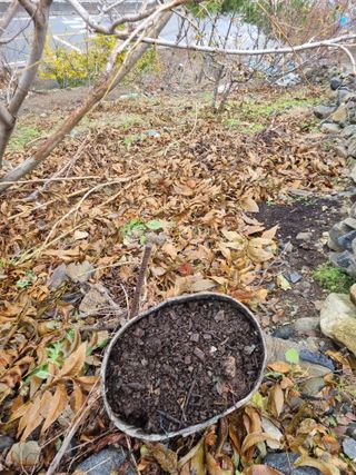 김용대님의 자유주제 · 자유게시판 작성글 사진