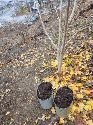 김용대님의 자유주제 · 자유게시판 작성글 사진