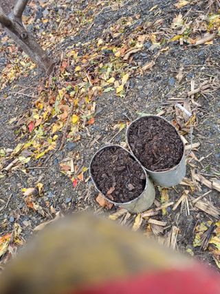 김용대님의 자유주제 · 자유게시판 작성글 사진