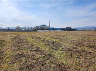 윤성근님의 기타작물 · 영농일지 작성글 사진