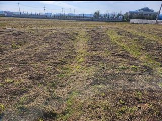 윤성근님의 기타작물 · 영농일지 작성글 사진