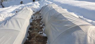 김익중님의 자유주제 · 자유게시판 작성글 사진