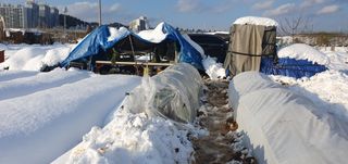 김익중님의 자유주제 · 자유게시판 작성글 사진