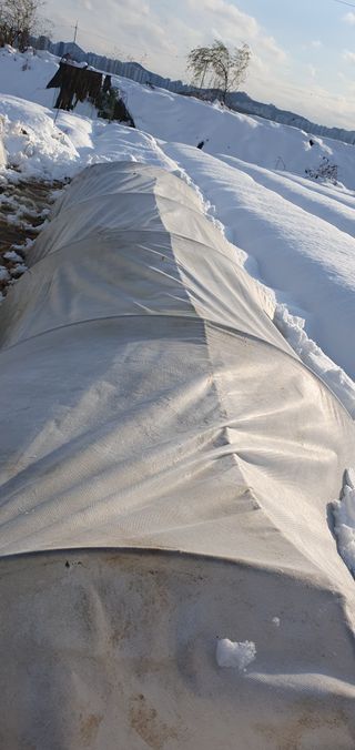 김익중님의 자유주제 · 자유게시판 작성글 사진