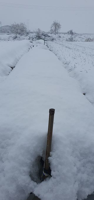 김익중님의 자유주제 · 자유게시판 작성글 사진