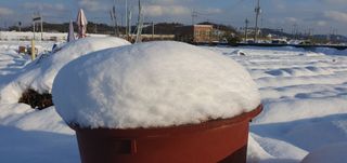 김익중님의 자유주제 · 자유게시판 작성글 사진