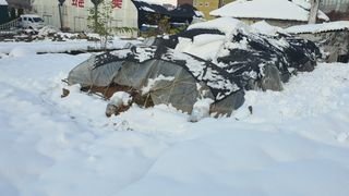 황의성님의 자유주제 · 자유게시판 작성글 사진