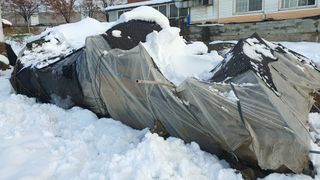 황의성님의 자유주제 · 자유게시판 작성글 사진