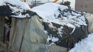 황의성님의 자유주제 · 자유게시판 작성글 사진