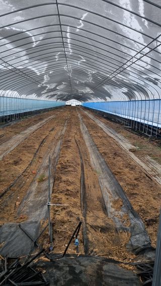 이정식님의 기타작물 · 영농일지 작성글 사진