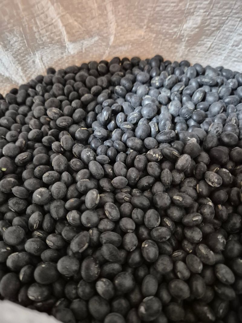 장터 상품 [서리태콩 ] 썸네일