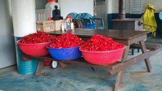 고춘석(고랑과이랑)님의 작성글 사진