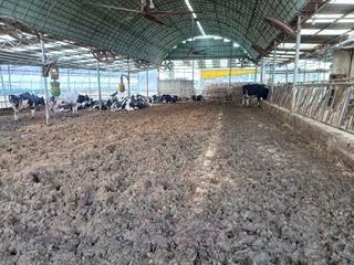 이정민님의 농한기 휴식 계획 공유하기 · 참여글 작성글 사진