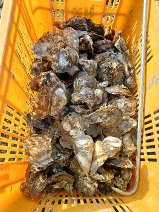 이정민님의 농한기 휴식 계획 공유하기 · 참여글 작성글 사진