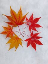 팜모닝 농한기 휴식 계획 공유하기·참여글 게시글 이미지