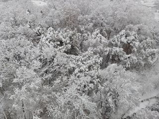 꿀고구마오수정님의 농한기 휴식 계획 공유하기 · 참여글 작성글 사진