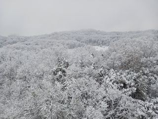 꿀고구마오수정님의 농한기 휴식 계획 공유하기 · 참여글 작성글 사진