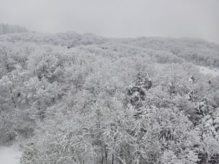 꿀고구마오수정님의 농한기 휴식 계획 공유하기 · 참여글 작성글 사진