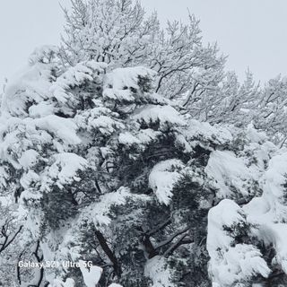 이천산수유님의 자유주제 · 사진전 작성글 사진