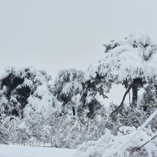 이천산수유님의 자유주제 · 사진전 작성글 사진