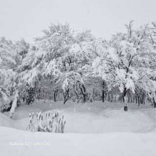 이천산수유님의 자유주제 · 사진전 작성글 사진