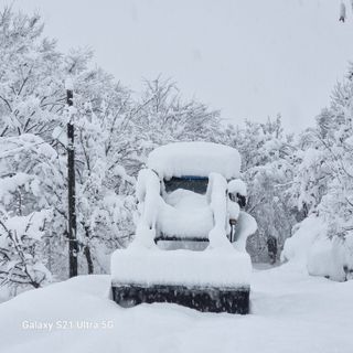 이천산수유님의 자유주제 · 사진전 작성글 사진