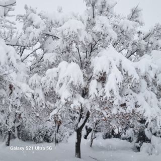 이천산수유님의 자유주제 · 사진전 작성글 사진