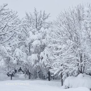 이천산수유님의 자유주제 · 사진전 작성글 사진
