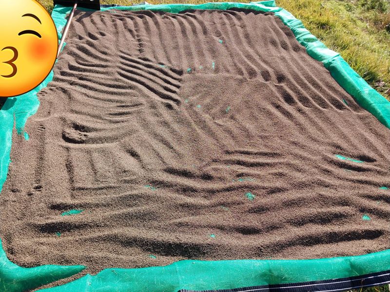 장터 상품 [들깨1kg당15000원팝니다] 썸네일