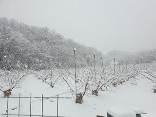 농부님의 농한기 휴식 계획 공유하기 · 참여글 작성글 사진