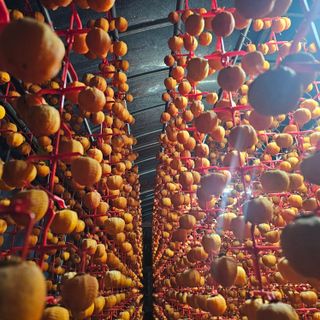 백용기님의 자유주제 · 자유게시판 작성글 사진