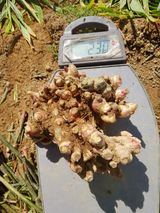 팜모닝 · 게시글 이미지