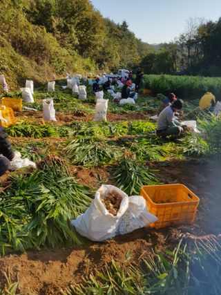 이화수님의 작성글 사진