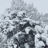 팜모닝 · 게시글 이미지