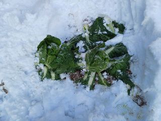 윤무섭님의 자유주제 · 사진전 작성글 사진