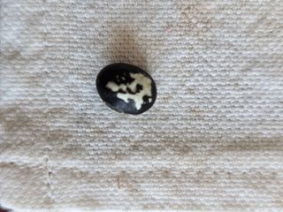 표고버섯15044님의 자유주제 · 자유게시판 작성글 사진