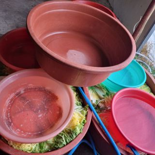 믿고사는농원-송미경님의 자유주제 · 자유게시판 작성글 사진