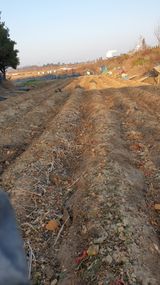 팜모닝 기타작물·영농일지 게시글 이미지