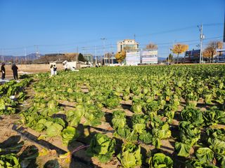 손정아님의 자유주제 · 자유게시판 작성글 사진