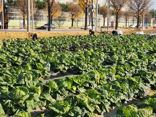손정아님의 자유주제 · 자유게시판 작성글 사진