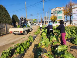 손정아님의 자유주제 · 자유게시판 작성글 사진