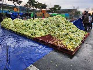 손정아님의 자유주제 · 자유게시판 작성글 사진