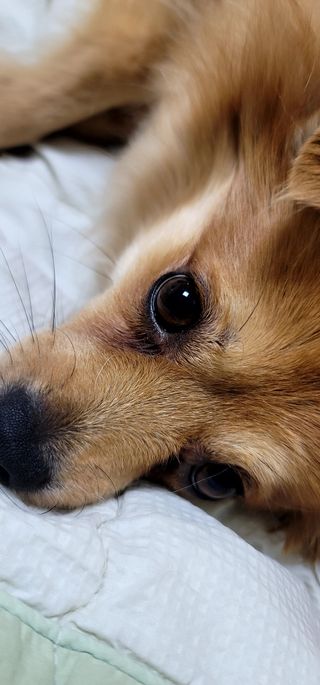 범이님의 농한기 휴식 계획 공유하기 · 참여글 작성글 사진