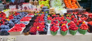 정진해님의 자유주제 · 자유게시판 작성글 사진