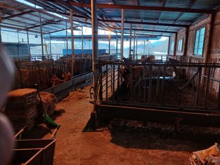 알 수 없음님의 자유주제 · 자유게시판 작성글 사진