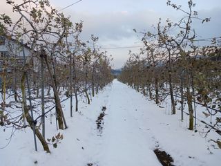 알 수 없음님의 자유주제 · 자유게시판 작성글 사진