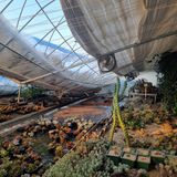 팜모닝 자유주제·자유게시판 게시글 이미지