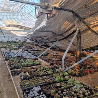 안재환 님의 자유주제 · 자유게시판 작성글 사진